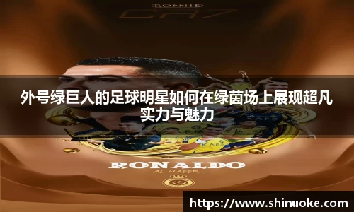 外号绿巨人的足球明星如何在绿茵场上展现超凡实力与魅力